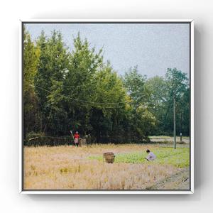 中国处女的一级黄片内射
